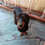 india - @_indiarojas - Instagram