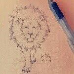 India Rush - @indiarushsenegal - Instagram