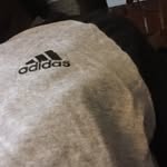 India Rush - @rushindia - Instagram