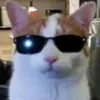 IndianRyan - @indianryan - TikTok