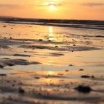 @indiasharpphotogrophy - Instagram