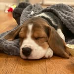India Small - @india_small26 - Instagram
