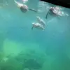 indiaaaa - @indiasmalls - TikTok