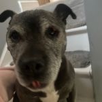 indiaspencer - @indiaspencer82 - Instagram