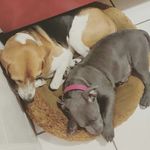 India y Tyson - @india_tyson - Instagram