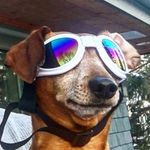 India Waller - @ratstagram3000 - Instagram