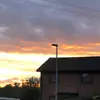 India Warren - @india.warren8 - TikTok