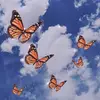indiawatts3434 - @xxindia_.watts - TikTok