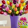 Indira Monroy - @indira.monroy - TikTok