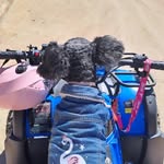 Indira Monroy Herrera - @indiramonh - Instagram