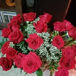 indiramonroyc@gmail.com - @indiramonroyc - Instagram