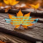 indiranelson - @indranelson58 - Instagram