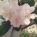 Indira Rivera - Facebook