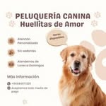 Indira del Valle - @indira.delvalle1 - Instagram