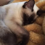 Anner Lanza - @indra_daniel_ - Instagram