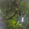 Daniel Indra b - @daniel.indra.b - TikTok