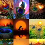 ꧁༒☬𝓲𝓷𝓭𝓻𝓪 𝓭𝓮𝓼𝓪𝓲 ☬༒꧂ - @official_indra_desai_09 - Instagram