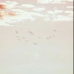 @indra.peralta53 - Instagram