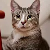 Indra Putra - @indra.putra1256 - TikTok