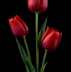 Andrea Ramirez - Facebook