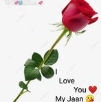 Indrajit. Roy - Facebook