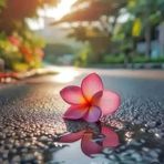 Indrani Sen - Facebook