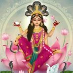 Indrani Sen - Facebook