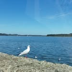 Ines Berger - @ines_1969 - Instagram