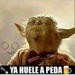 Ines Cantu - Facebook