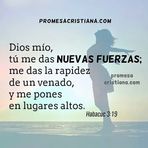 Clara Ines Contreras Dias - Facebook