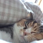 ines cooper - @inescooper23 - Instagram