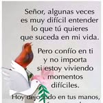 Ines Bonilla Crispin - @bonillacrispinines - Instagram