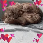 Inès Goff - @ine_gft - Instagram