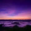 ines_johnson0987 - @ines_johnson0987 - TikTok