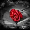 ❤️❤️❤️🫶🏼Dito 🫶🏼❤️❤️❤️ - @inesjordan72 - TikTok