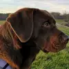 Plane spotting Hannover - @inesjordan75 - TikTok