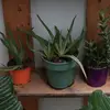 ines merced - @ines.mercerd - TikTok