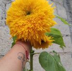 Ines Paredes - Facebook