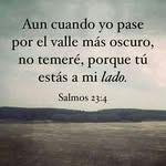 ines pena - @yellow_and_white_ - Instagram