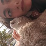 InésRoche😼 - @inesrochef - Instagram