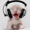 Ines Roque - @ines.roque52 - TikTok