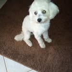 Ines Roque - @roque9919 - Instagram