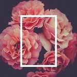 Ines Rueda - @ines.rueda.75098 - Instagram