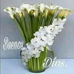 Ines Ruiz Lopez - @ines.ruizlopez - Instagram