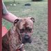 Ines Schilling - Facebook