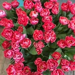 Ines Schilling - @kleines8 - Instagram