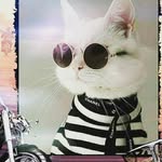 Ines Schilling - @plucky_daisy - Instagram