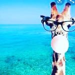 Shortines In Shortines - @shortinesinshortines - Instagram