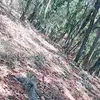 ines_soto_ - @ines_soto_ - TikTok