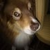 Ines Timmel - Facebook